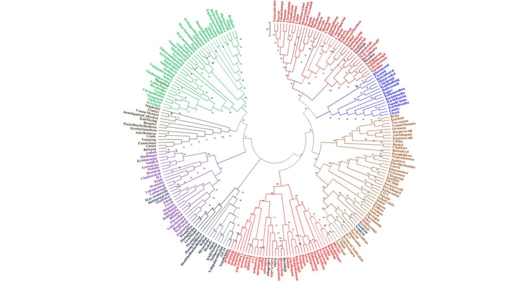 genetic diversity