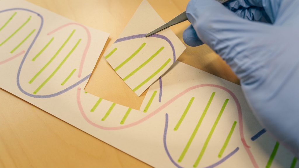 gene editing