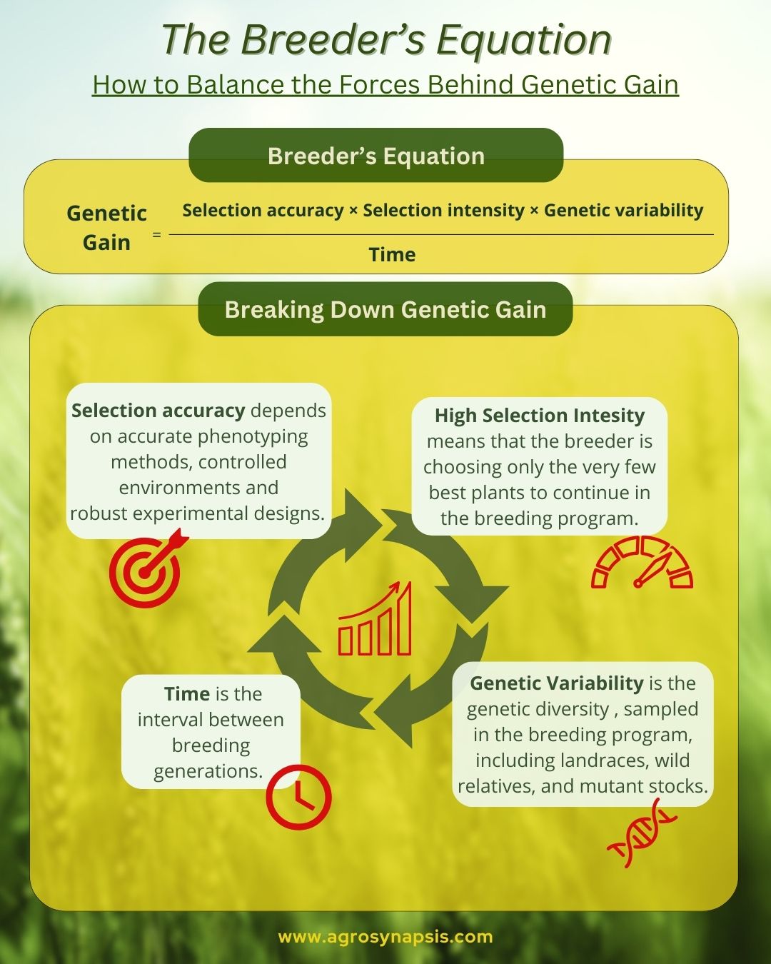 Breeder’s Equation: A Guide to Balancing the Forces Behind Genetic Gain