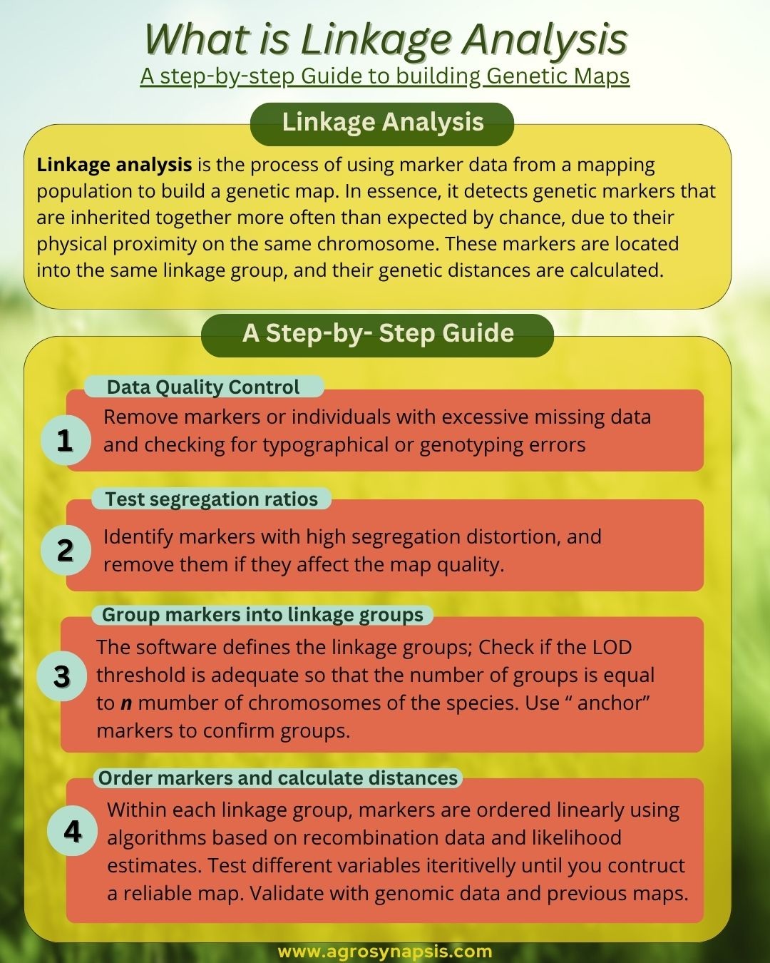 Linkage Analysis: a Step-by-Step Guide to Building Genetic Maps