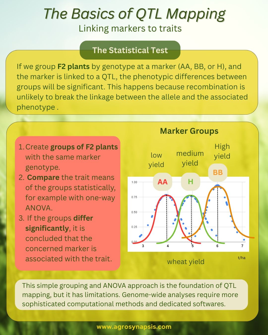 Understanding the Basics of QTL Mapping: linking markers to traits