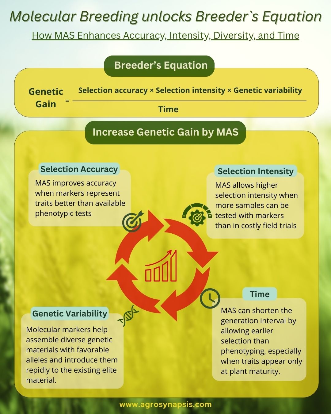 Unlocking the Breeder’s Equation with Marker-Assisted Selection